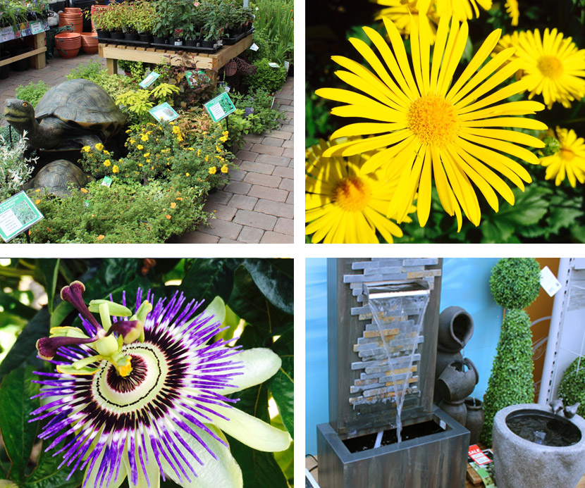 garden-centre-splash